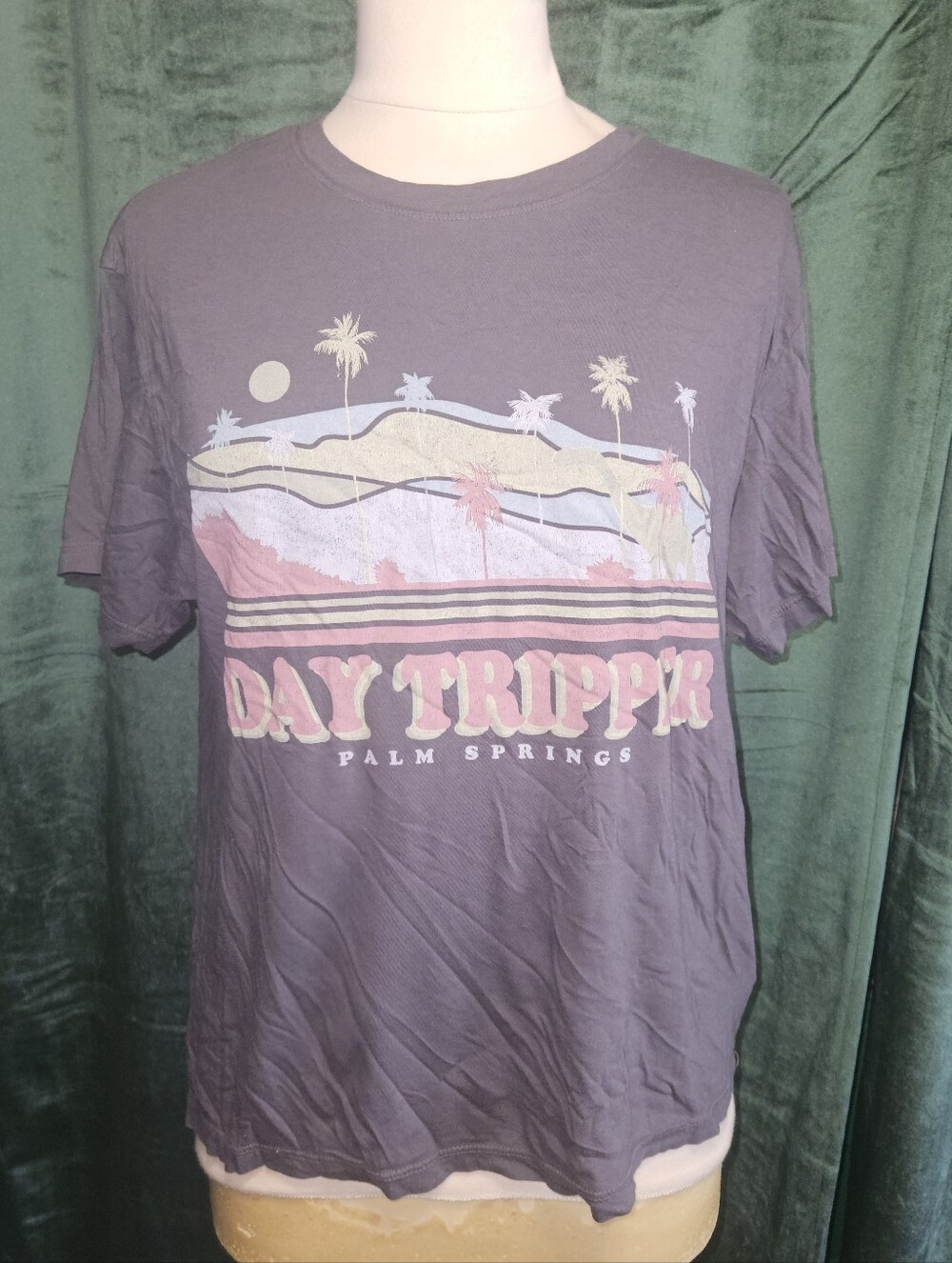 Letluv For Anthropologie Day Tripper Palm Springs Tee
